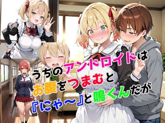 うちのアンドロイドはお腹をつまむと『にゃ〜』と鳴くんだが 画像1