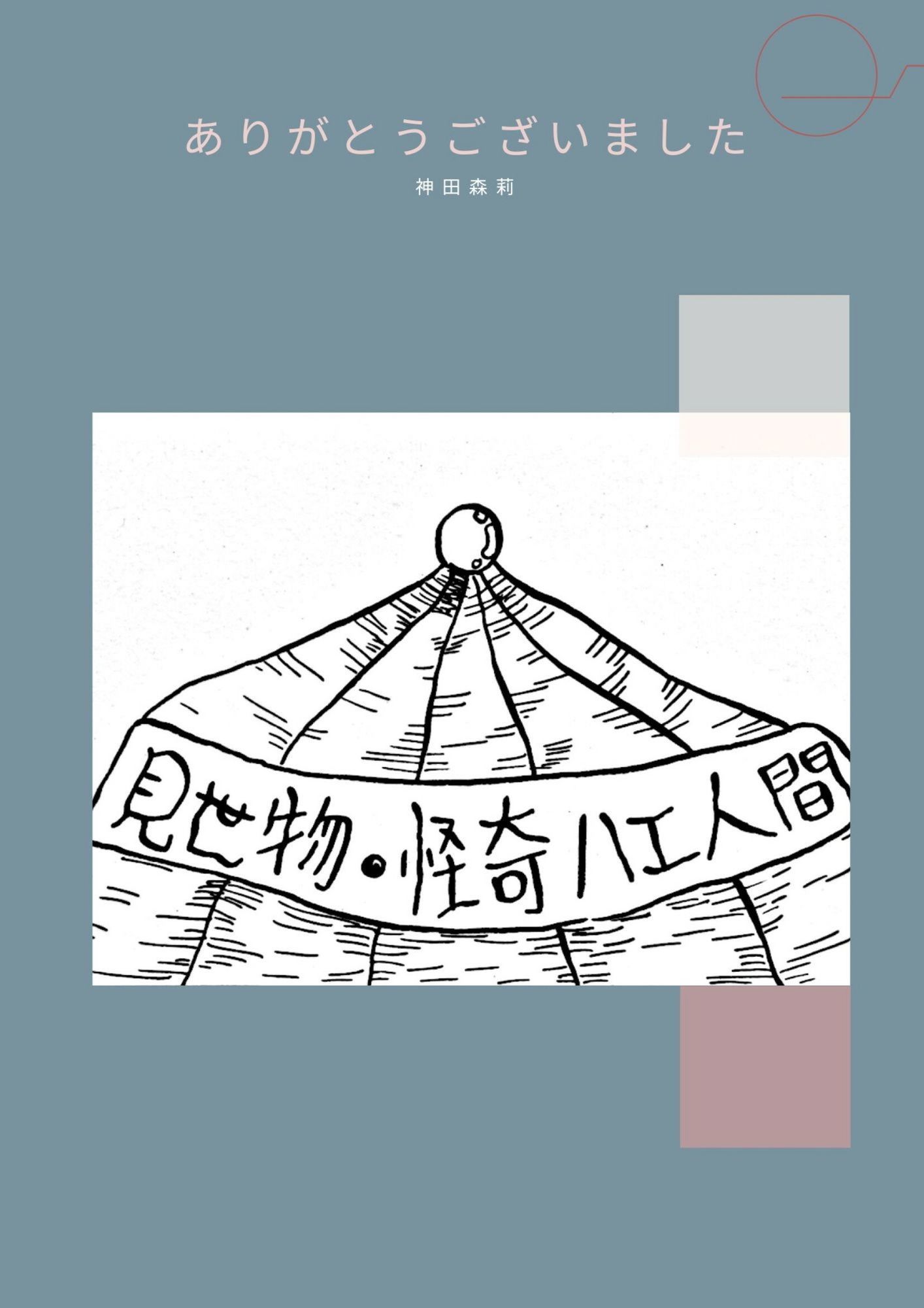 未発表作品『ゴロゴロ』1982年  -  神田森莉 画像4