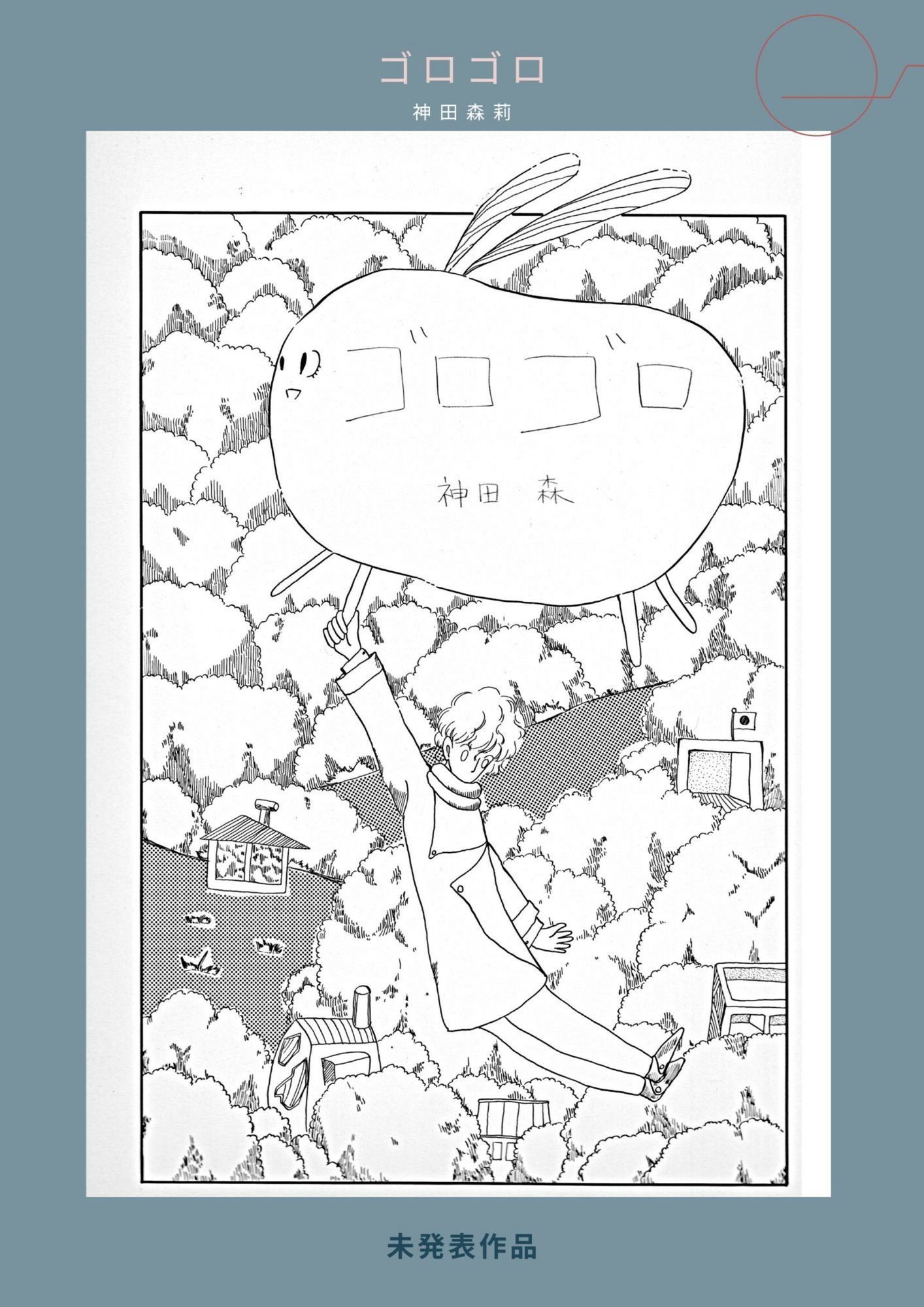 未発表作品『ゴロゴロ』1982年  -  神田森莉 画像5