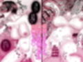 お隣のお姉さん〜ほろ酔い連続セックス〜
