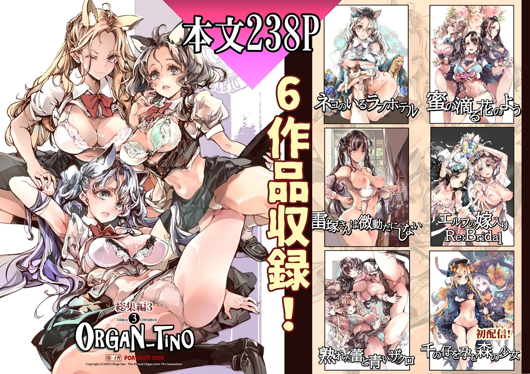 サンプル画像1:ORGAN-Tino3 総集編3(70年式悠久機関) [d_710988]