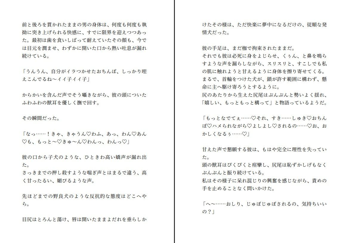生意気な犬系獣人はふたなり魔女に撫でられたときだけデレデレわんこにジョブチェンジする 無料画像3