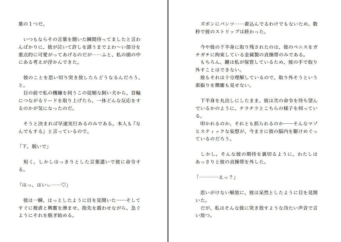 飼い犬系彼氏と喧嘩して仲直りする〜射精する権利を奪ってくださいと懇願する彼の望みが健気すぎたので射精できない彼をたくさんいじめてあげようと思います〜 画像2