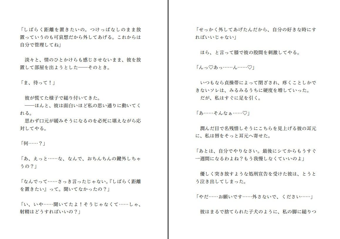 飼い犬系彼氏と喧嘩して仲直りする〜射精する権利を奪ってくださいと懇願する彼の望みが健気すぎたので射精できない彼をたくさんいじめてあげようと思います〜 画像3