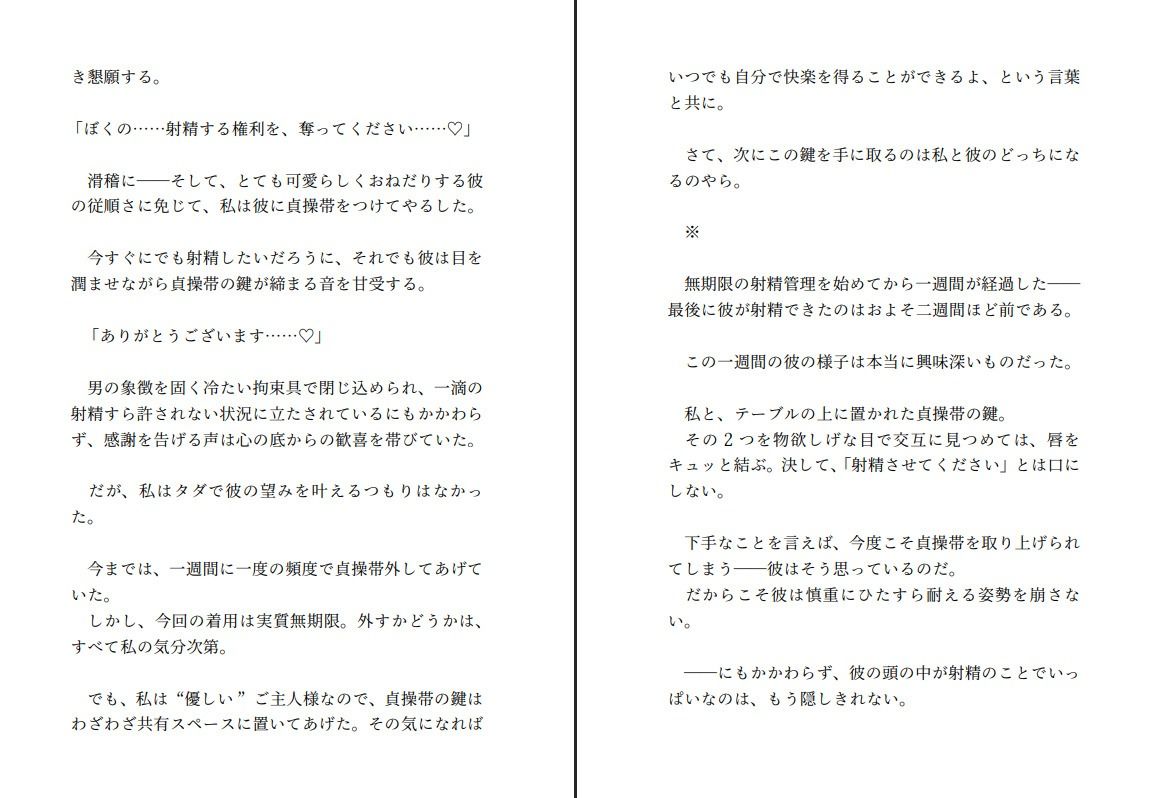 飼い犬系彼氏と喧嘩して仲直りする〜射精する権利を奪ってくださいと懇願する彼の望みが健気すぎたので射精できない彼をたくさんいじめてあげようと思います〜 画像4