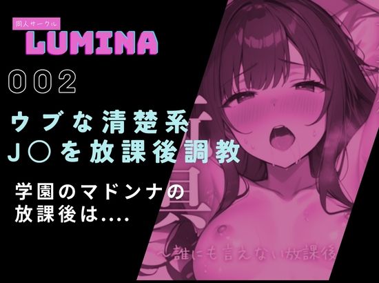 サンプル画像4:LUMINA 総集編 2025 冬(ルミナ) [d_712502]