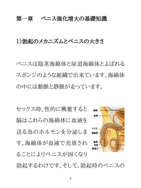 男のパワーアップ・トレーニング 画像4