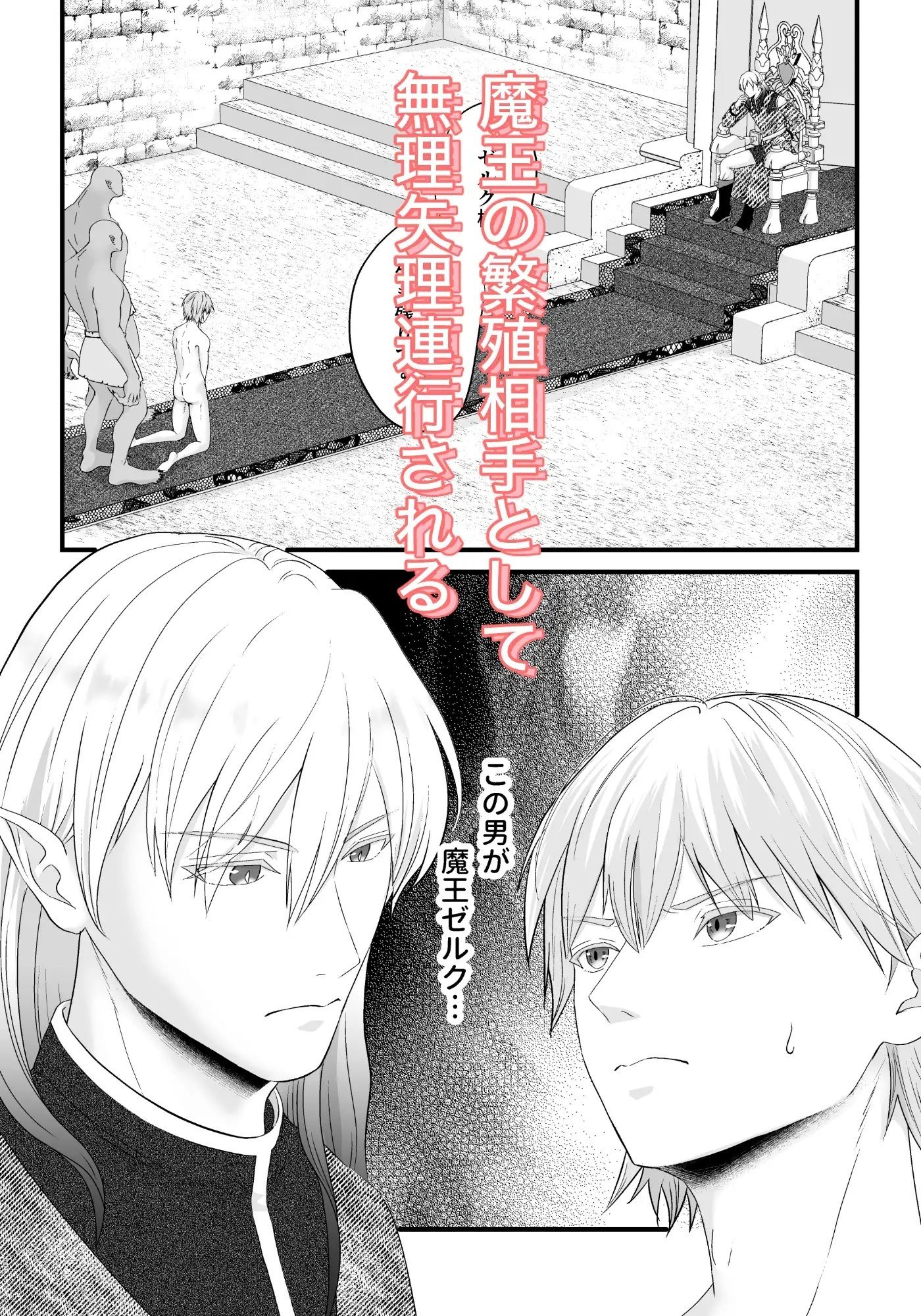 巨根魔王に絆された結果、男なのに孕みました。 サンプル2