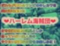 ユメユメのミRe  〜夢のハーレム海賊団を結成せよ〜  その2