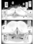 我慢できなくなったメスに勝てるわけないでしょ2
