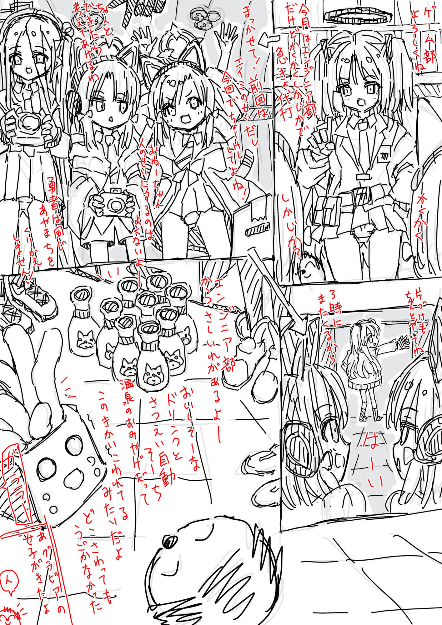 白五本鞠 画像1