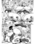 La faux-双胎聖母-