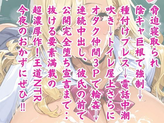 サンプル画像5:ビッチJK肉便器化計画 〜オタク巨根で寝取られ堕ち〜(じぇいとけい工房) [d_716798]