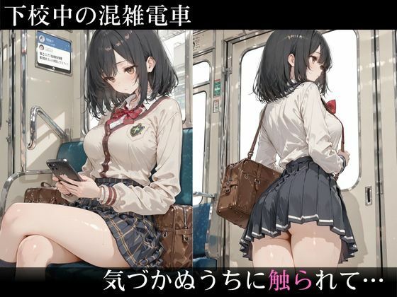 生意気そうな黒髪ショートJKが満員電車で雌の顔に… 声を出せない状況で執拗に中出し種付け 画像2