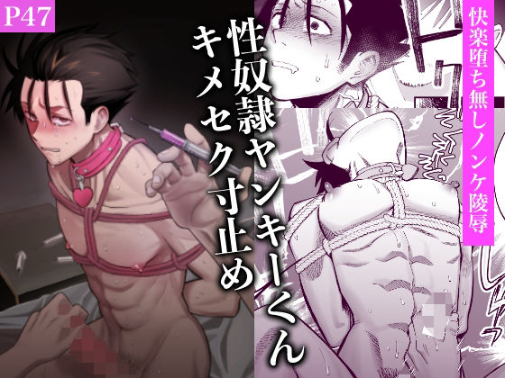 性奴●ヤンキーくんキメセク寸止めのタイトル画像