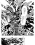 サンプル3