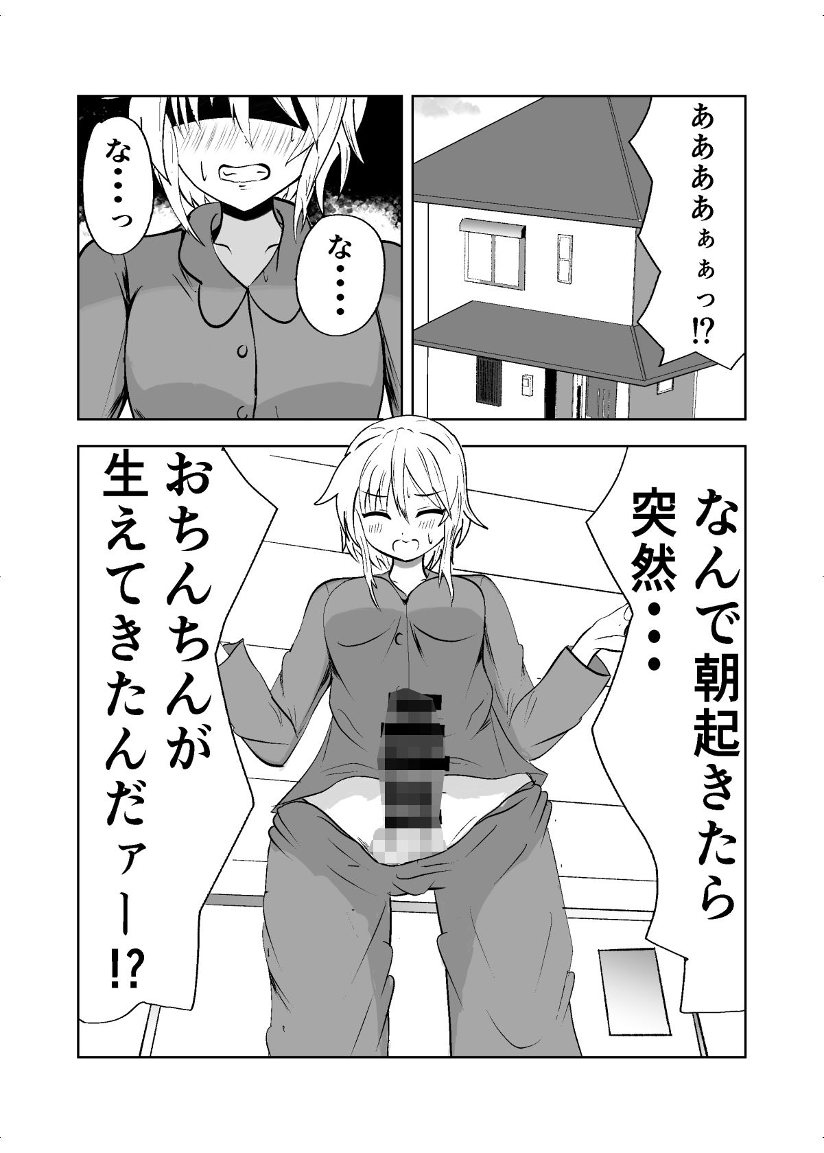 お姉ちゃんにおちんちんが生えちゃった！？ 画像2
