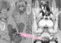 一線を超えたとらぶる【催●】