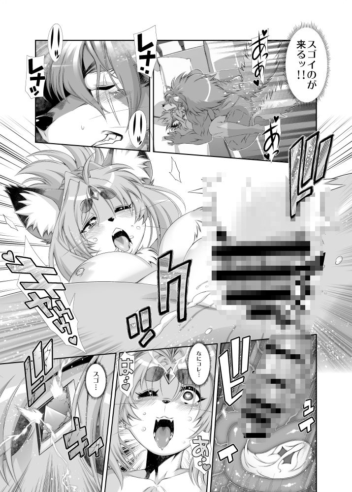 魔法の獣人フォクシィ・レナVol.19 画像5