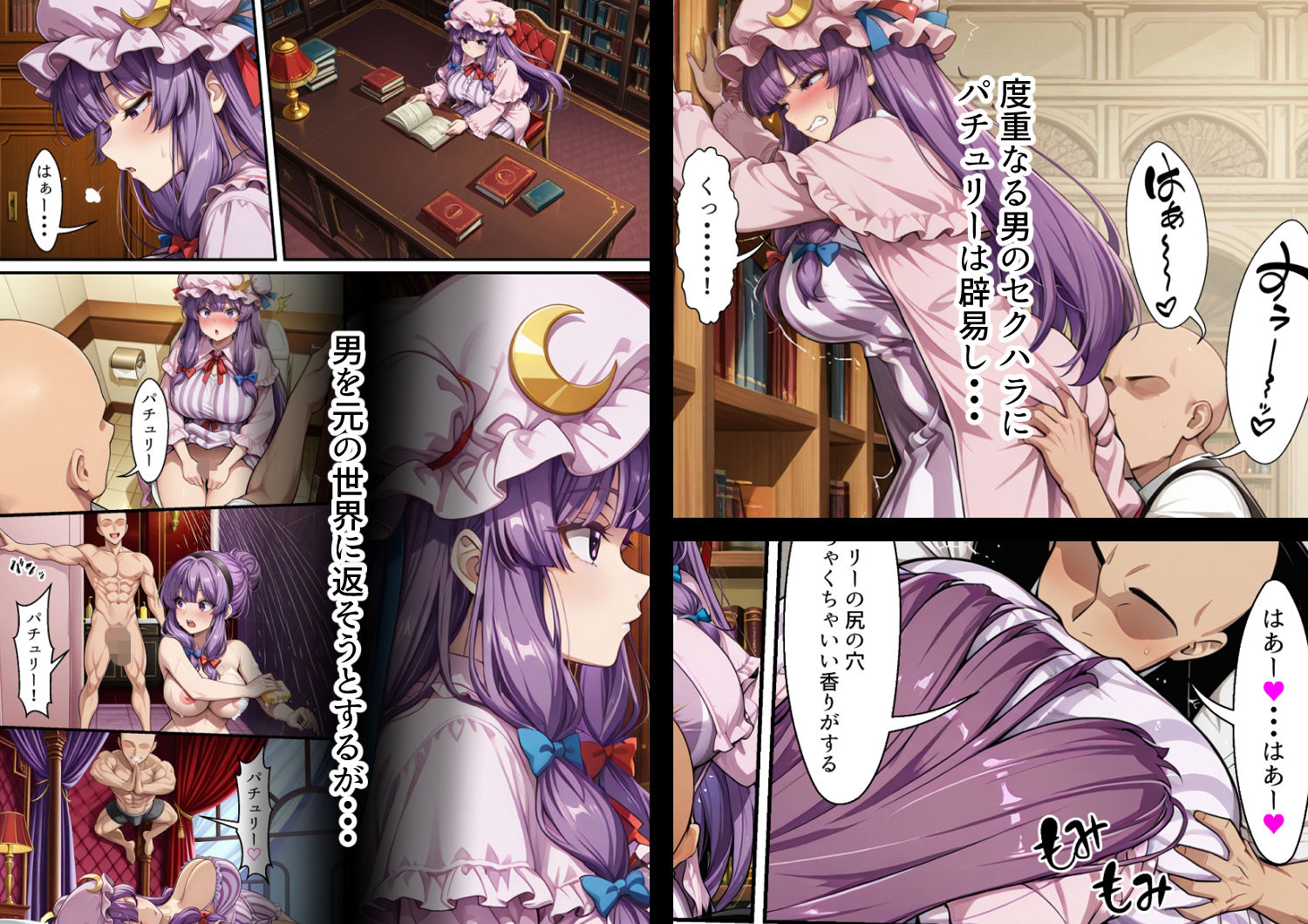 サンプル画像2:奇跡の精力を持った男が幻想入り パチュリー編(逆転大王) [d_721912]