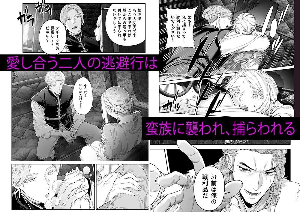 蛮族の花嫁 画像1