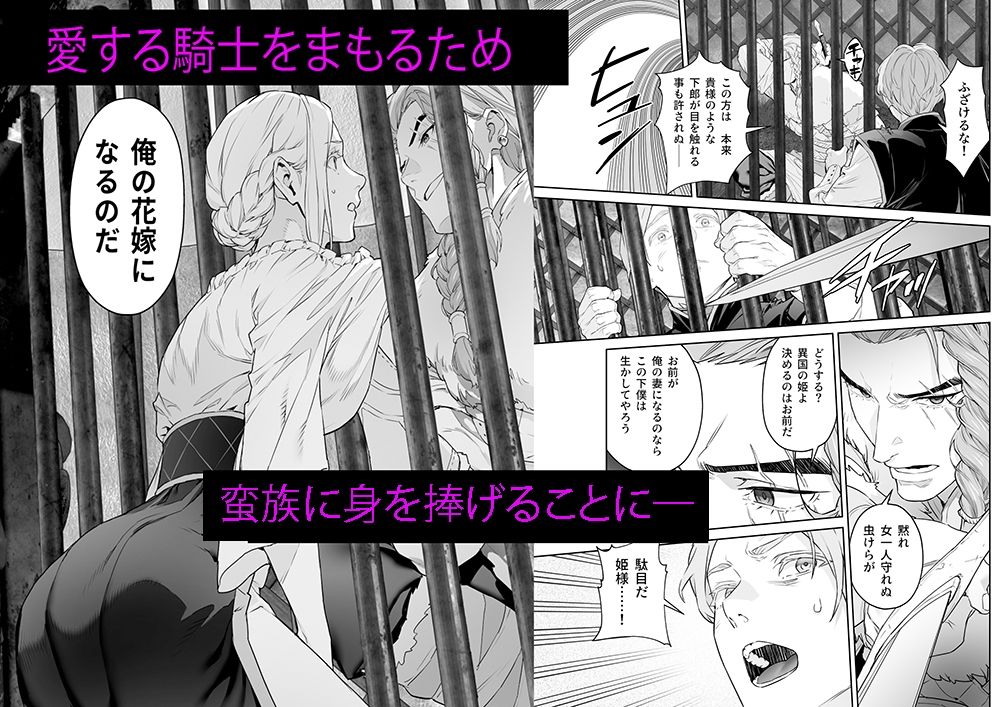 蛮族の花嫁 画像2