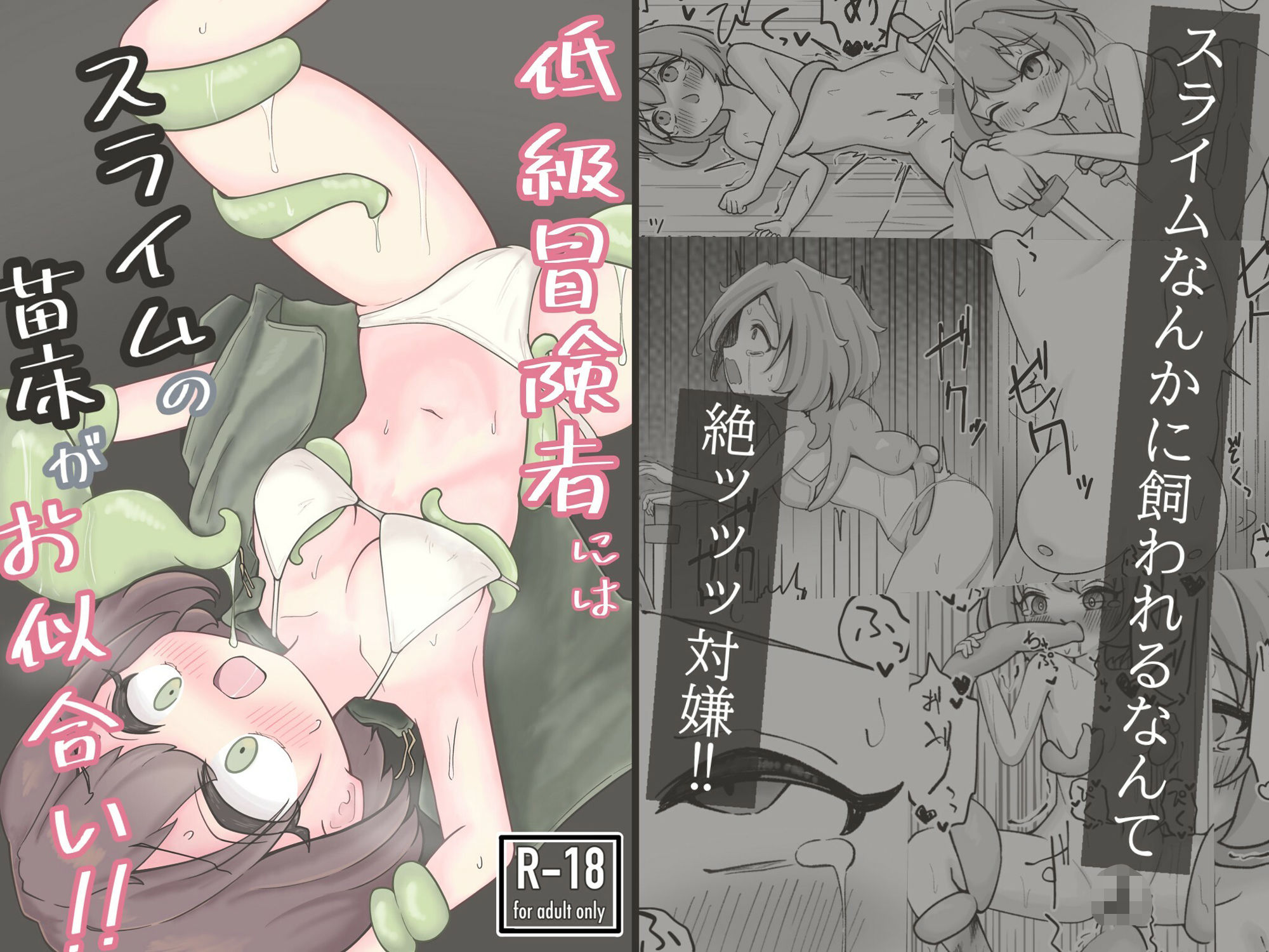 低級冒険者にはスライムの苗床がお似合い！！ 画像1