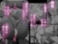オタク君が一番好きだけど