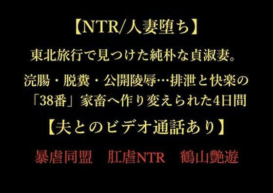 【NTR/人妻堕ち】東北旅行で見つけた純朴な貞淑妻。浣腸・脱糞・公開陵●…...のタイトル画像