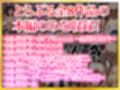 トラブル総集編