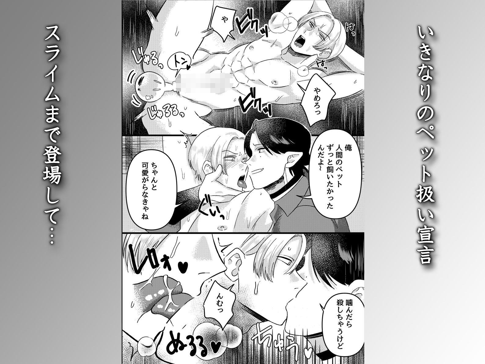 魔族双子スライム姦ペット調教 〜異世界貴族アナル二輪挿しメスイキ連続絶頂〜 5枚目