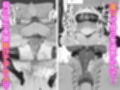 クリ責め敗北妄想オナニーで破滅する話