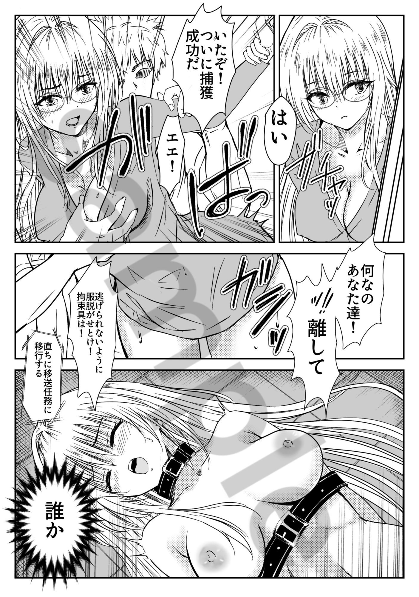 ティアーユ・ルナ●ィークファンブック『秘密の番人』 画像1