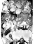 梱包少女BA総集編