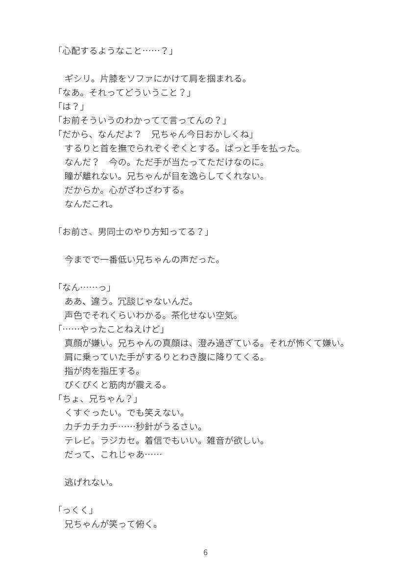 同じ顔の双子の兄に溺愛されて、抗えなくなるまで 2枚目