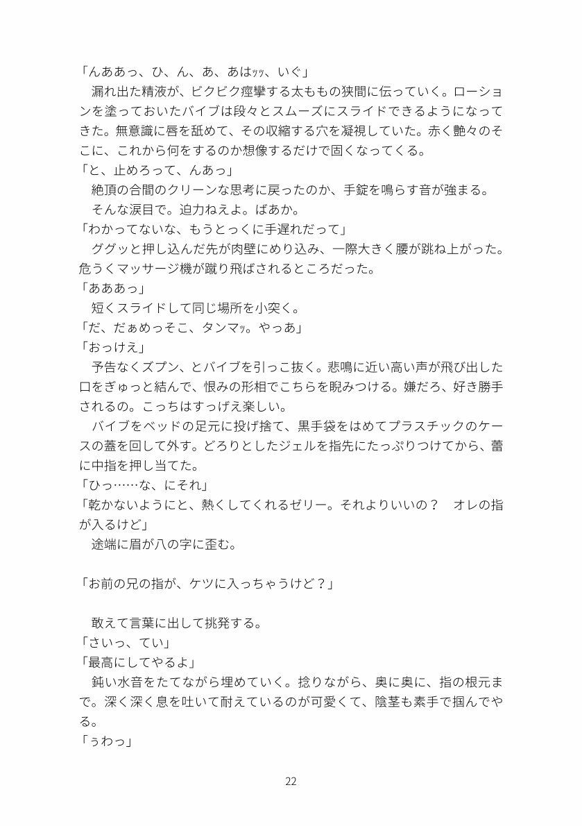 同じ顔の双子の兄に溺愛されて、抗えなくなるまで 3枚目