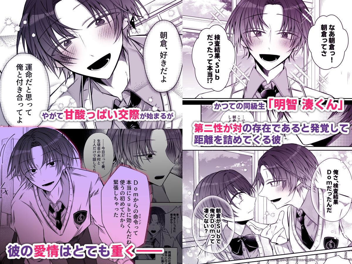 激重愛情を抱えたお医者さんなDomの湊くんは本能を煽るのが上手 画像1