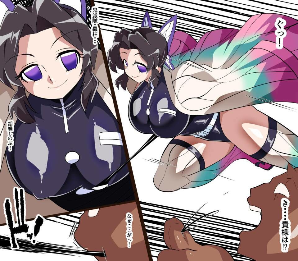 墜羽の蝶 画像1