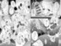 龍神さま総集編試し読み4ページ