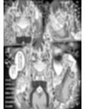 リスナーさんのザーメンください