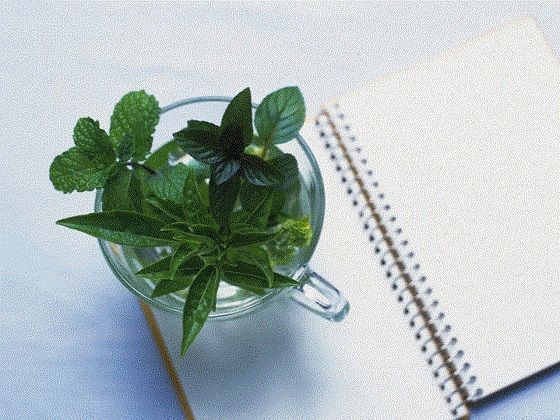 おむつ現役JK作家の最期のタイトル画像