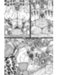 借金500億を肉体で払うハメになったお嬢様