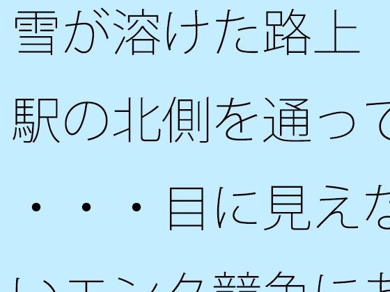 雪が溶けた路上 駅の北側を通って・・・・目に見えないエンタ競争にあっぷあっぷしながら