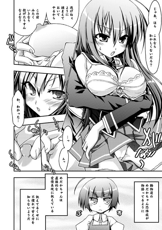 めだかの学校 画像1