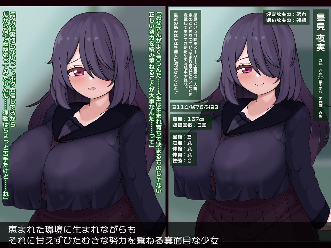 人生終了真面目に生きてきたのに…誘拐・調教・精神崩壊【無料試聴】 29 人生終了真面目に生きてきたのに…誘拐・調教・精神崩壊 画像1