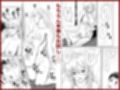 家具はお試ししてからで