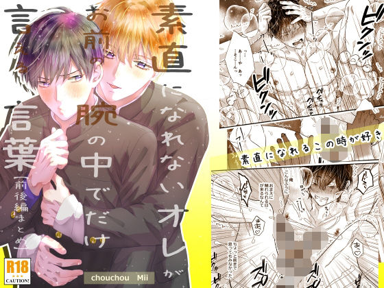 『素直になれないオレが、お前の腕の中でだけ言える言葉』ココロ君シリーズ9