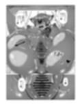 サンプル6