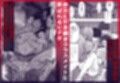 完全包囲 恥辱まみれの修学旅行 混浴おじさん編