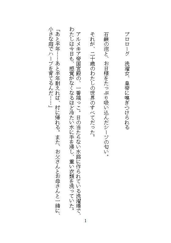 完璧に洗わなきゃ気が済まない地味な洗濯女ですが、皇帝に一晩で48回も連続絶頂を刻まれ、魔性の皇后に磨き上げられました。 画像1